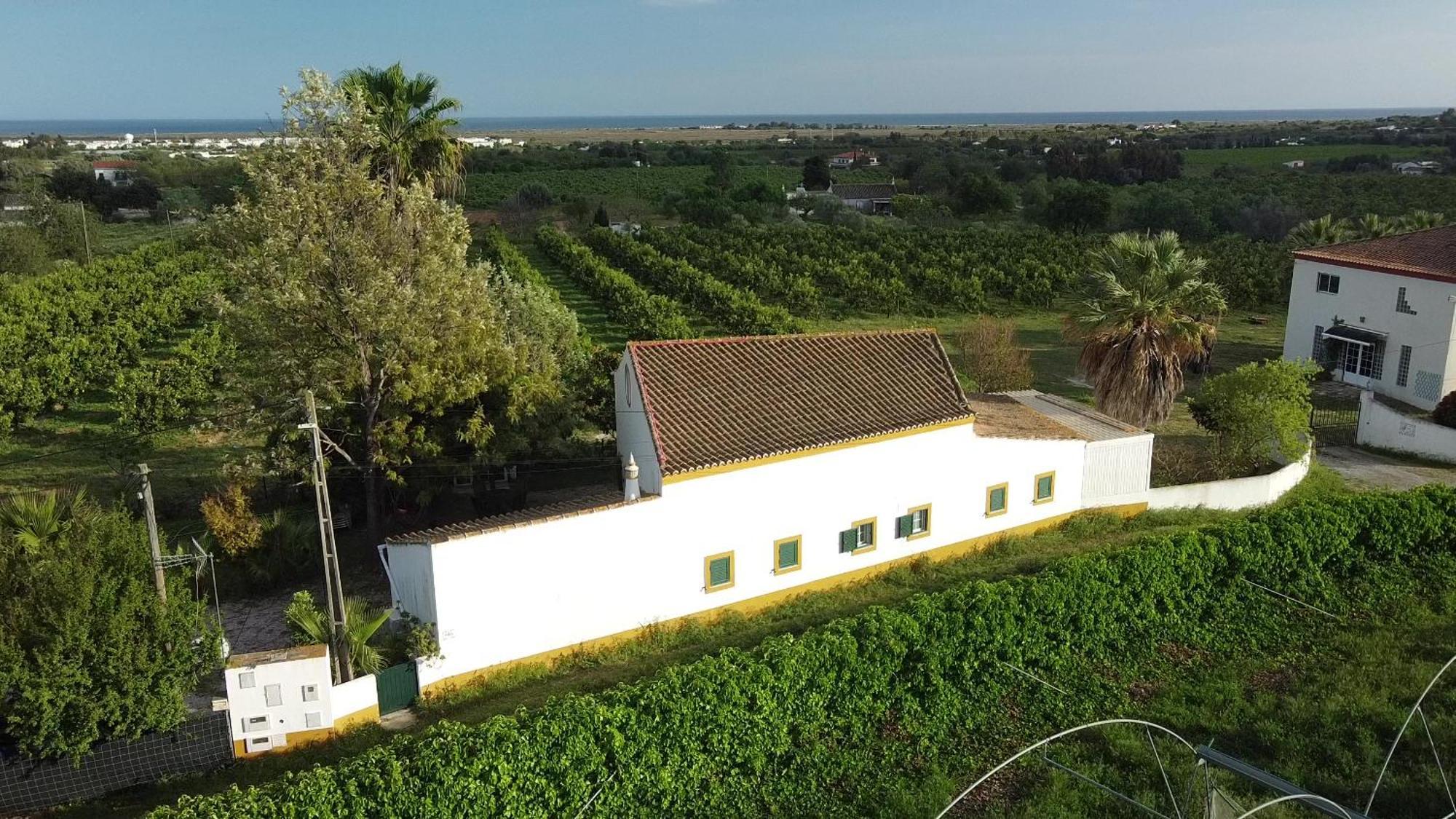 Quinta Rosa Branca Hotel Tavira Exterior photo
